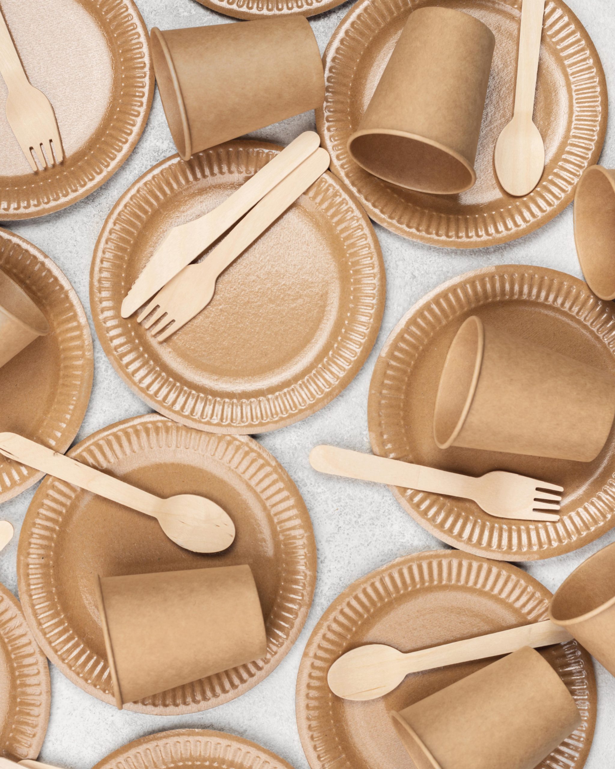 arrangement-eco-friendly-disposable-tableware