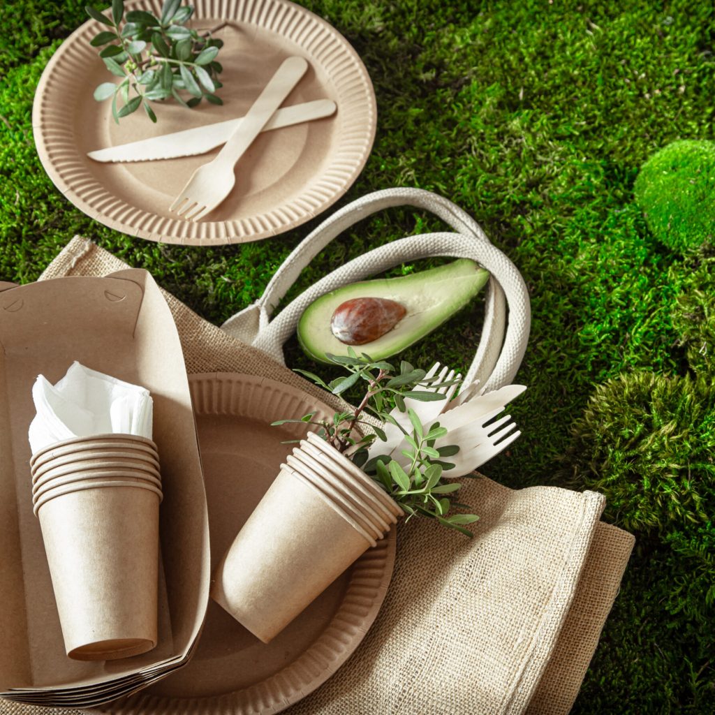 eco friendly, stylish, disposable, convenient, beautiful recyclable tableware.